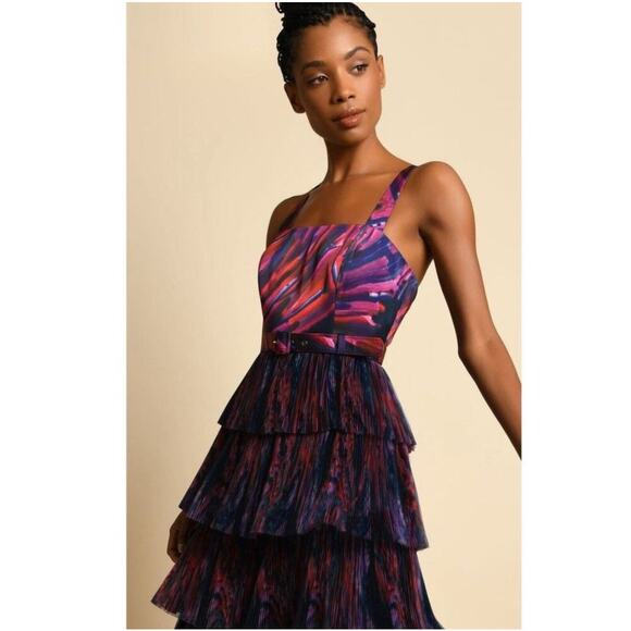 Anthropologie x Hutch - Avani Tiered Dress Size - Picture 2 of 8